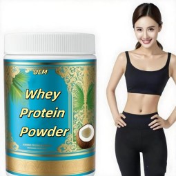 Whey Protein Isolate Powder Factory - 80% WPC WPI 90%