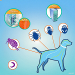 Flea Repellent Collar Manufacturer - Adjustable Insect Control