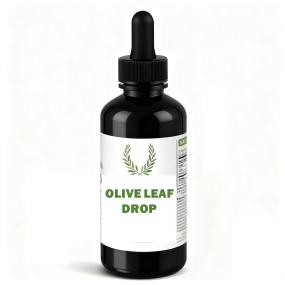 Olive Leaf Liquid Factory - Advanced Immune Support