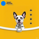 Flea Repellent Collar Manufacturer - Adjustable Insect Control