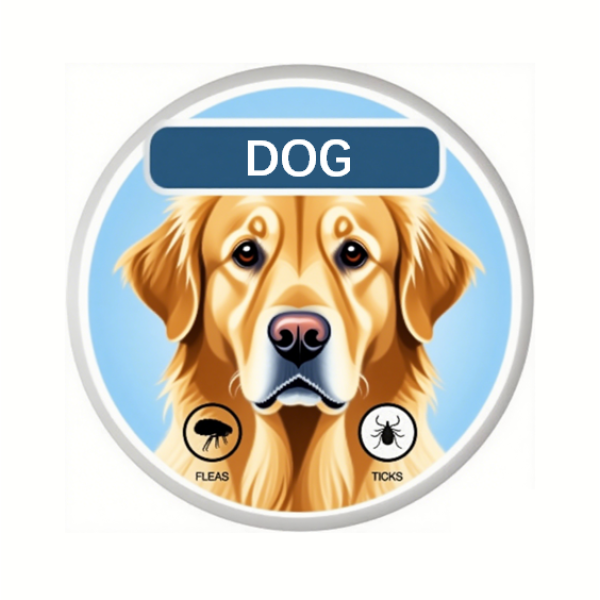 Pet Repellent Collar Factory - Natural Essential Oil Insect