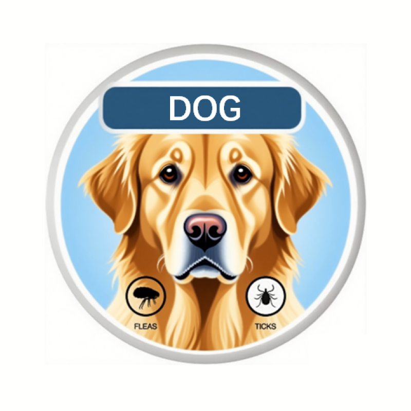 Pet Repellent Collar Factory - Natural Essential Oil Insect