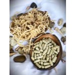 Sea Moss Capsules Supplier - Burdock Root Bladderwrack Joint Skin Health