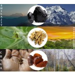Shilajit Gummies Manufacturer - Custom Logo Organic Male Function Energy Boost