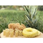 Sea Moss Gummies Supplier - Wholesale Private Label Organic Raw Supplement