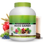 Protein Powder Supplier - Wholesale Gluten Free Dairy Free Veggie Organic
