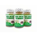 Black Seed Oil Softgels Supplier - Women Supplement Sea Moss Detox Liver Support