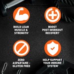 Whey Protein Powder Supplier - Optimum Nutrition Gold Standard All Flavor