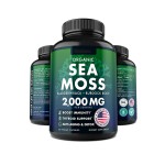Sea Moss Capsules Supplier - Burdock Root Bladderwrack Joint Skin Health