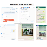 Matcha Gummies Factory - In Stock Green Tea Extract Vegan Chewable Supplement