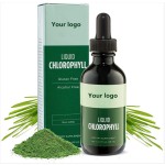 Chlorophyll Liquid Supplier - Wholesale Fast-Absorbing Energy Boost Immune