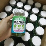 Sea Moss Gummies Manufacturer - Organic Bladderwrack Burdock Root Vegan