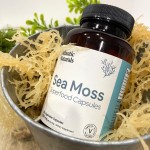 Sea Moss Capsules Supplier - Burdock Root Bladderwrack Joint Skin Health