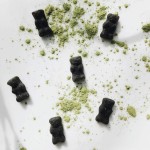 Matcha Gummies Factory - In Stock Green Tea Extract Vegan Chewable Supplement