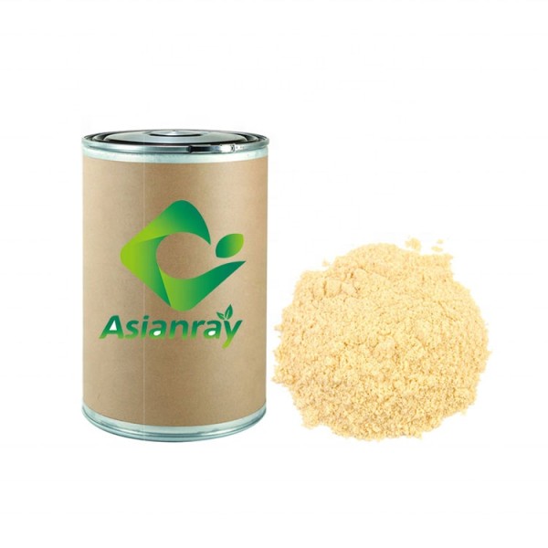 Biological Fertilizer Bacillus Megaterium Powder 20 Billion CFU/g Bacillus Subtilis Agriculture Growing