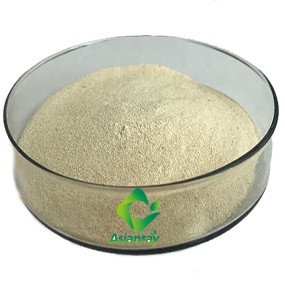 Fast Delivery Alkaline Protease Enzyme Powder CAS Food Grade Alkaline Powder