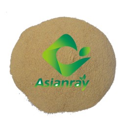 High Protein  Feed Grade  Autolyzed Yeast As Feed Additives Autolyzed Yeast Extract Autolyzed Yeast Extract Food Grade