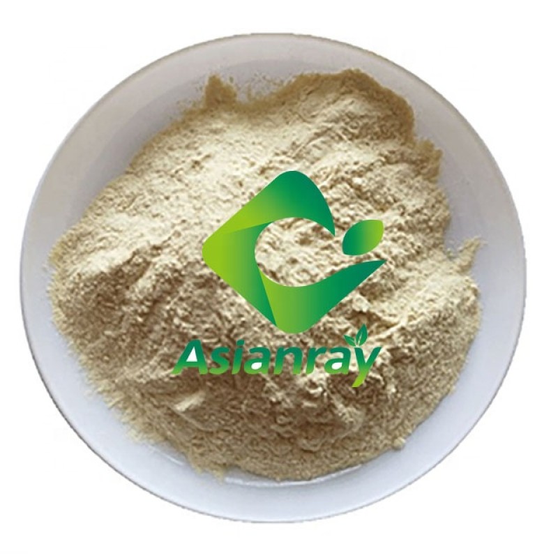 Beta Amylase Powder Enzyme Food-grade Alpha Amylase Beta-amylase-pulver-enzym