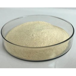 Powder Lipase Enzyme for Bread Baking