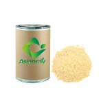 Fertilizer Bacillus Laterosporus Powder Top Quality Bio Fertilizer Feed Additive Probiotics Bacillus Laterosporus