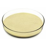 Food Grade Cellulase Enzyme Industrial Cellulase Enzyme Powder Industri Enzym