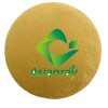 Shandong Asianray Technology Co., Ltd.