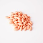 Citicoline Brain Capsule Manufacturer - Memory Focus Nootropic