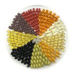 Soy Lecithin Softgel Manufacturer - Chinese Dietary Supplement