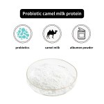 Whey Protein Powder Supplier - High Concentration Low Calorie