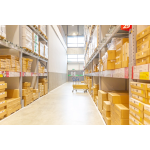 Brain Power Capsules Supplier - Reduces Brain Pressure