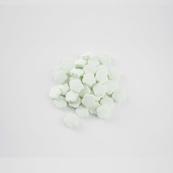 Brain Support Supplement Factory - Phosphatidylserine Green Tea