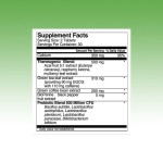 Green Tea Extract Tablets Supplier - Probiotics Weight Loss