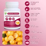Organic Ashwagandha Capsules Factory - Withanolides Stress Relief