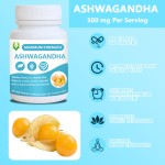 Ashwagandha Root Capsules Supplier - Withanolides Sleep Mood