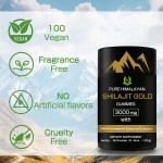 Shilajit Gummies Factory - Panax Ginseng Energy Muscle