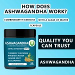 Ashwagandha Root Capsules Manufacturer - Natural Black Pepper Extract