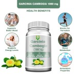 Garcinia Cambogia Capsules Factory - Weight Management Mood