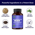 Holy Basil Ashwagandha Capsules Supplier - Zinc Mood Support
