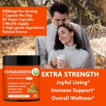 Ashwagandha Extract Capsules Factory - 5 in 1 Immune Support
