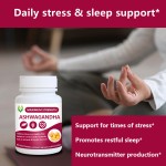 Organic Ashwagandha Capsules Factory - Withanolides Stress Relief