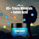 Shilajit Resin Factory - Fulvic Acid Trace Minerals