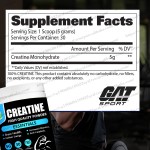 Organic Mushroom Coffee Supplier - Energy Boost Immune Defense