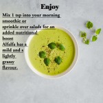 Green Tea Instant Sticks Supplier - Matcha Vitamin D3 Energy