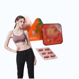 Slimming Capsules Manufacturer - Natural White Kidney Bean