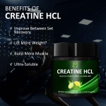 Pre Workout Creatine Powder Factory - Muscle Building Energy