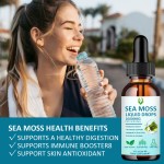 Sea Moss Liquid Drops Supplier - 60ml 10000mg Antioxidant
