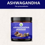 Ashwagandha Capsules Supplier - Herb Withanolides Immune