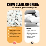 Sugar-Free Chewing Gum Manufacturer - Xylitol Mixed Berries