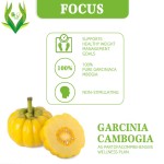 Garcinia Cambogia Capsules Manufacturer - OEM ODM Appetite Suppressant