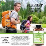 Garcinia Cambogia Capsules Manufacturer - OEM ODM Appetite Suppressant